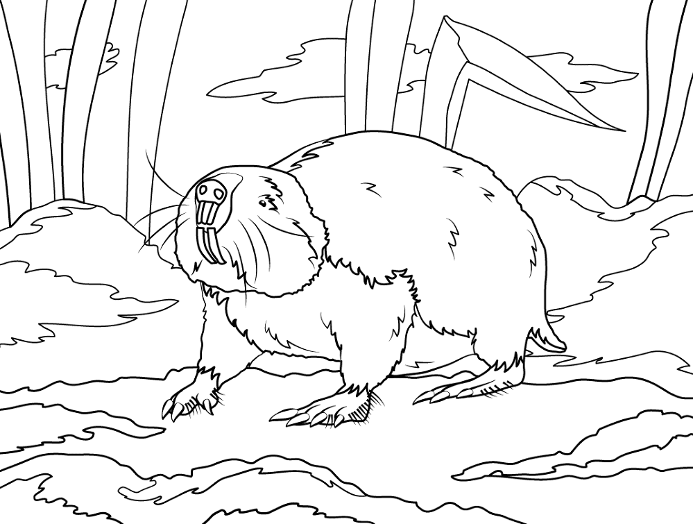 Desenho de Ratos para colorir