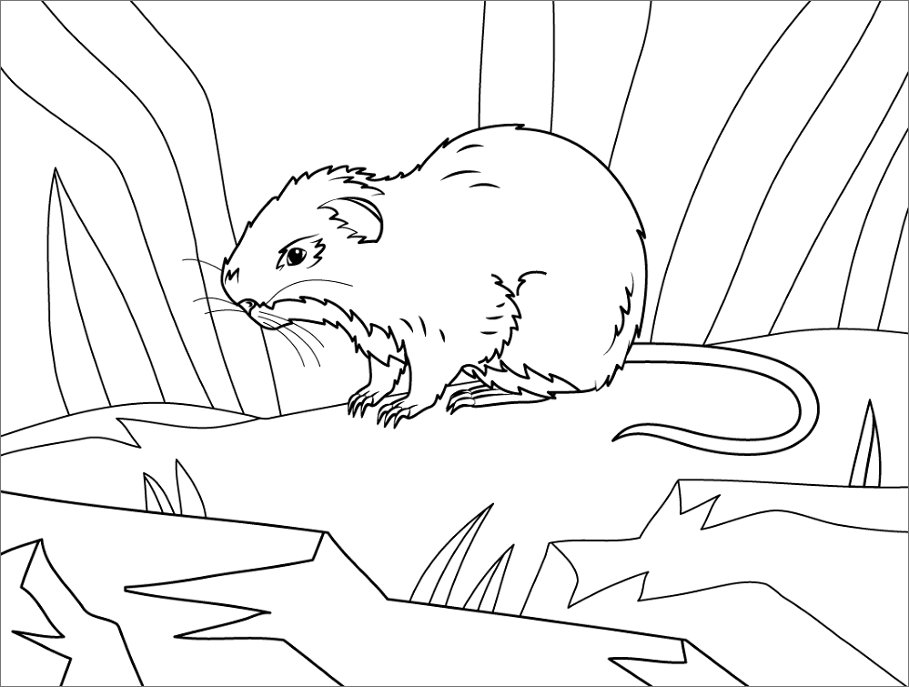 Desenho de Ratos para colorir