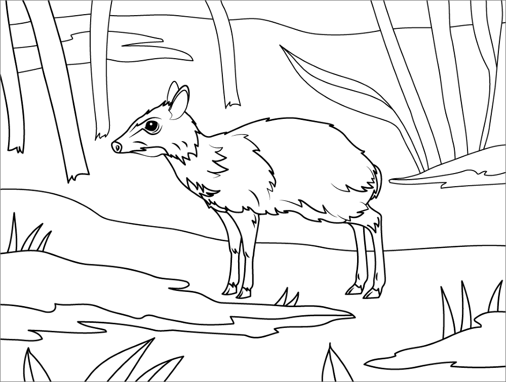 Desenho de Ratos para colorir
