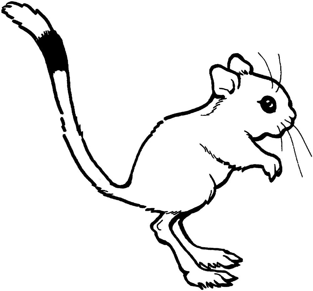 Desenho de Ratos para colorir