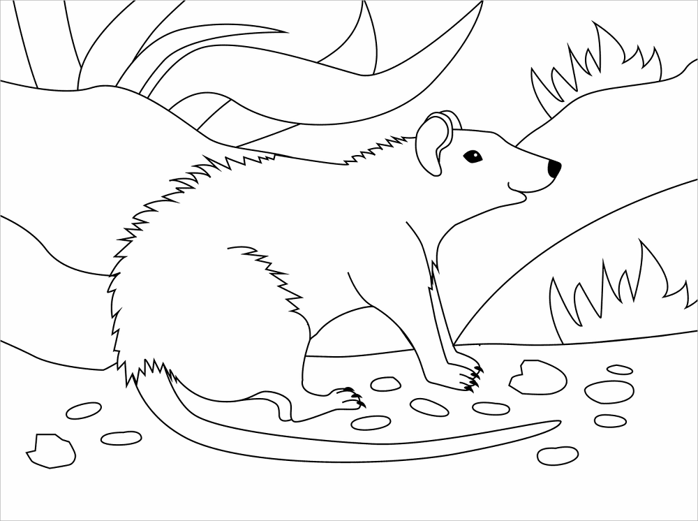 Desenho de Ratos para colorir