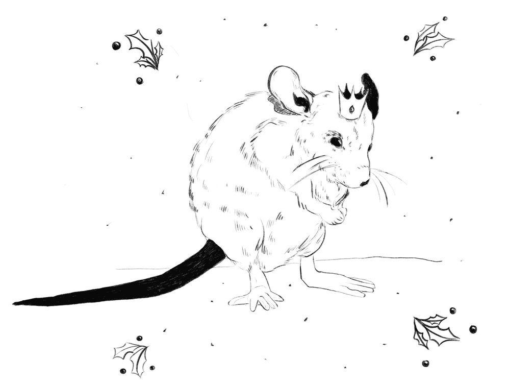 Desenho de Ratos para colorir