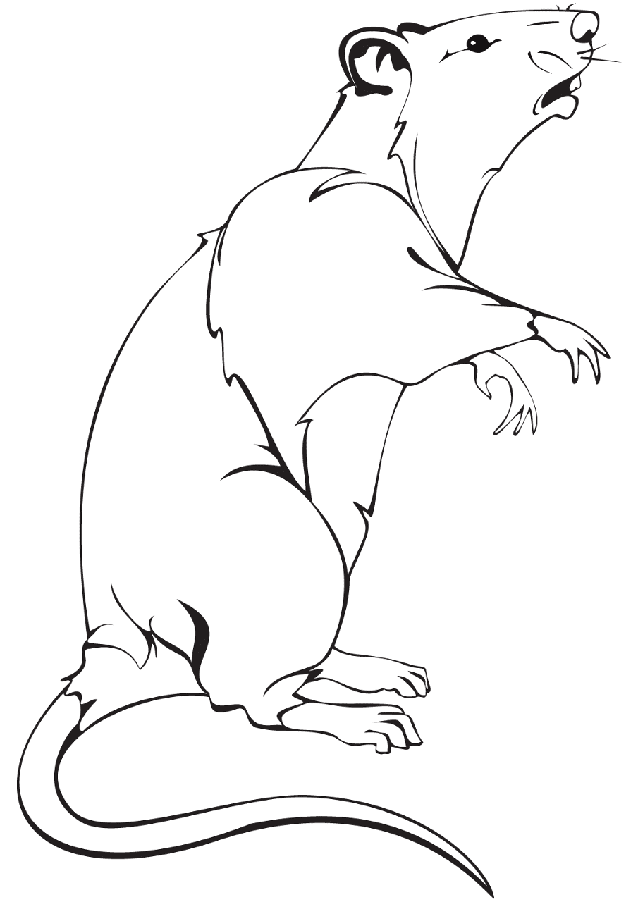 Desenho de Ratos para colorir