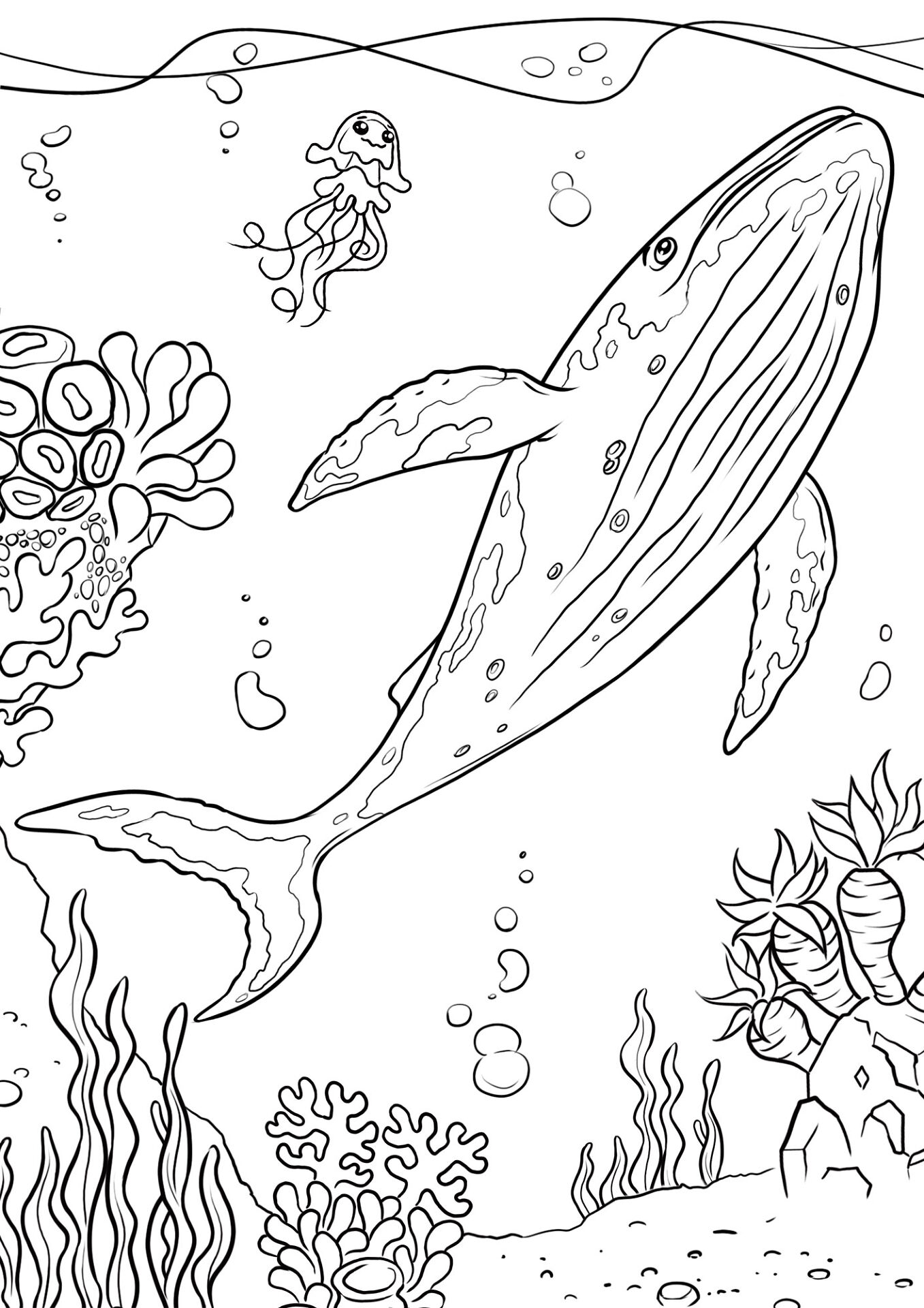 Desenho de Recife De Coral para colorir e imprimir: número 5