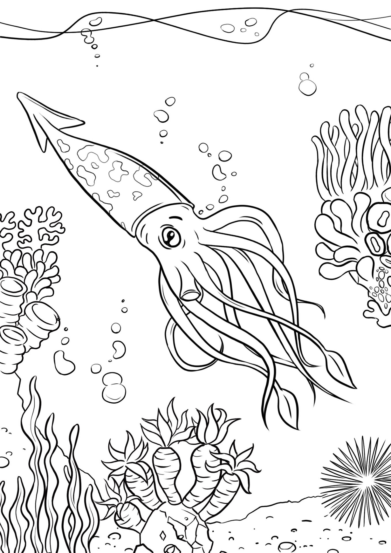 Desenho de Recife De Coral para colorir e imprimir: número 6