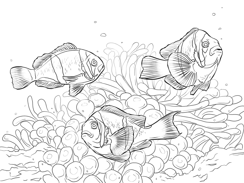 Desenho de Recife De Coral para colorir e imprimir: número 9