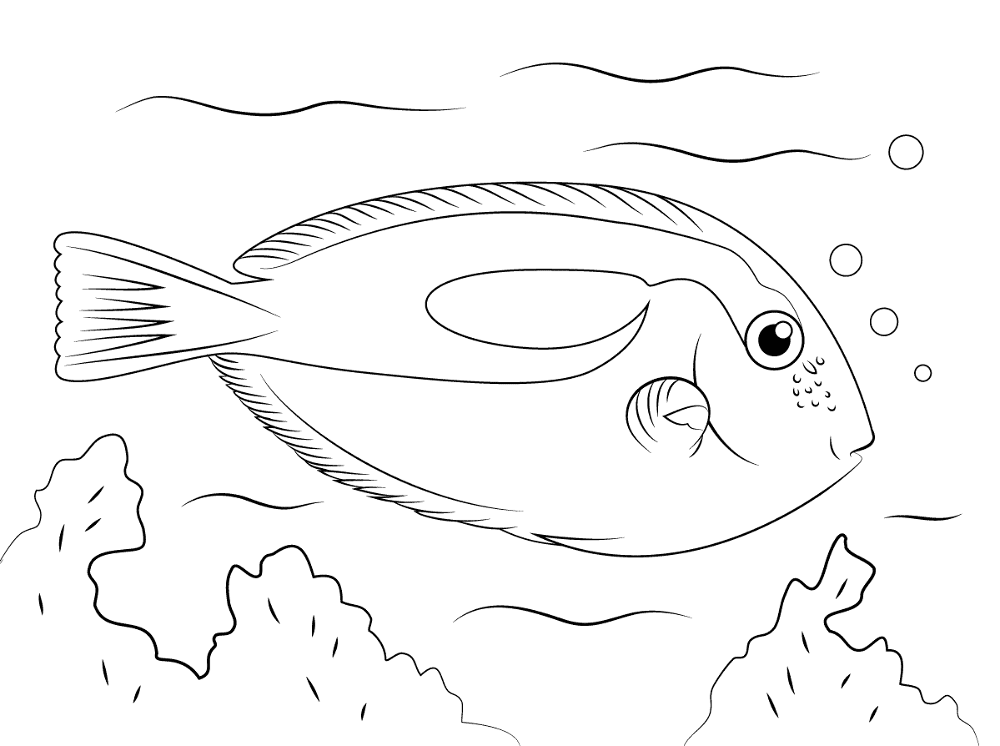 Desenho de Recife De Coral para colorir e imprimir: número 15
