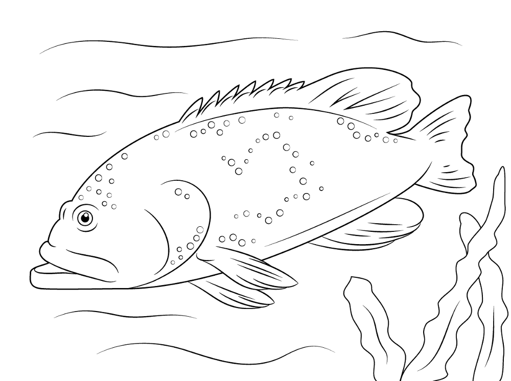 Desenho de Recife De Coral para colorir e imprimir: número 16
