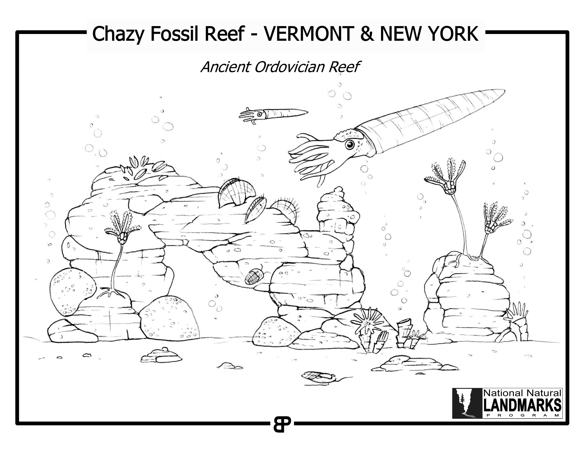 Desenho de Recife De Coral para colorir e imprimir: número 18