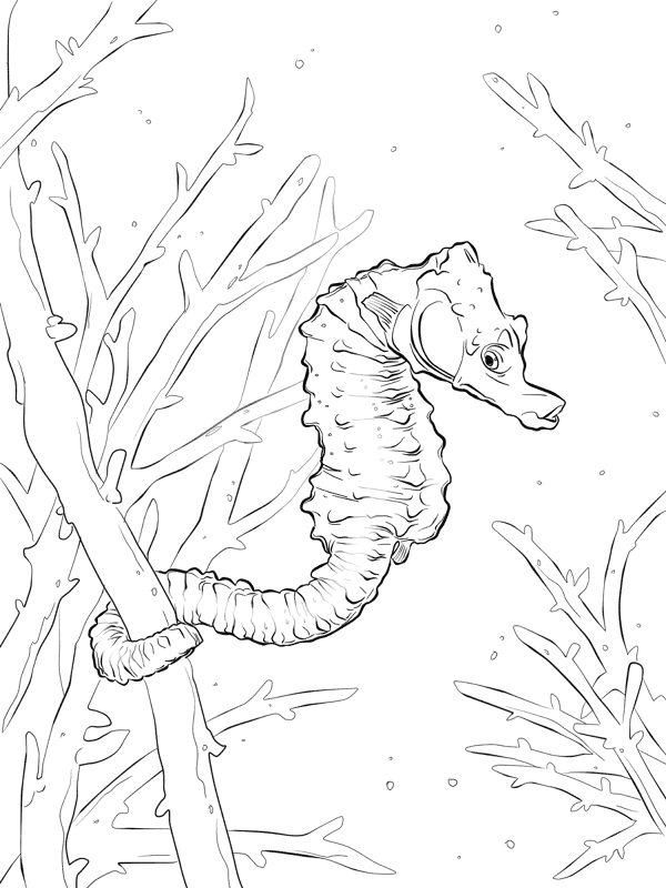 Desenho de Recife De Coral para colorir e imprimir: número 19