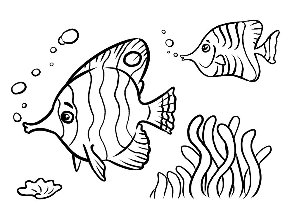 Desenho de Recife De Coral para colorir e imprimir: número 29