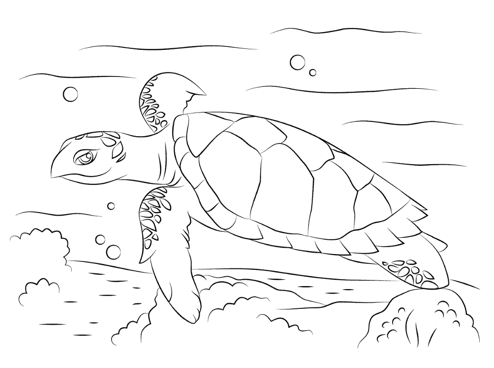 Desenho de Recife De Coral para colorir e imprimir: número 33