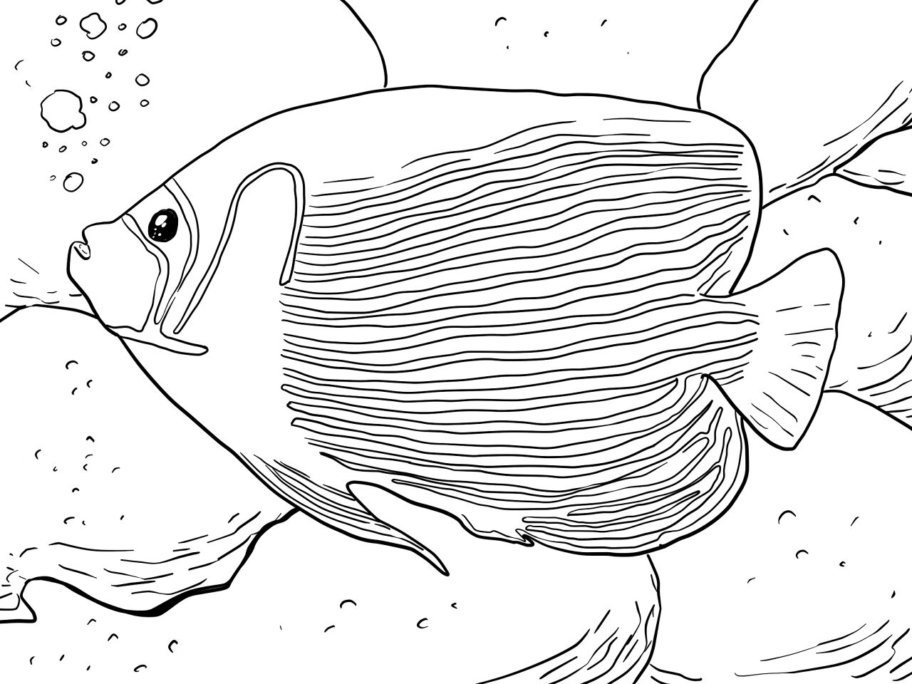 Desenho de Recife De Coral para colorir e imprimir: número 36