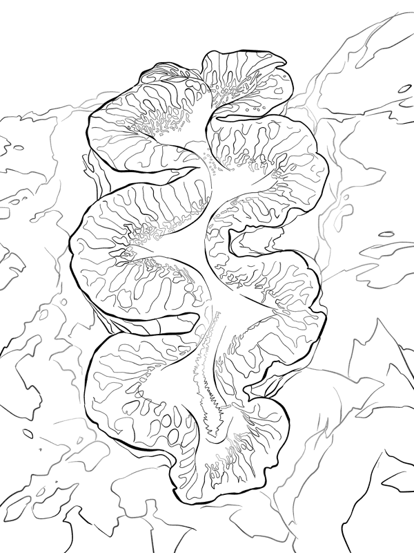 Desenho de Recife De Coral para colorir e imprimir: número 39