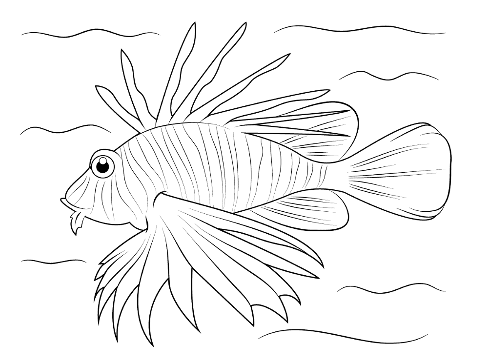 Desenho de Recife De Coral para colorir e imprimir: número 43