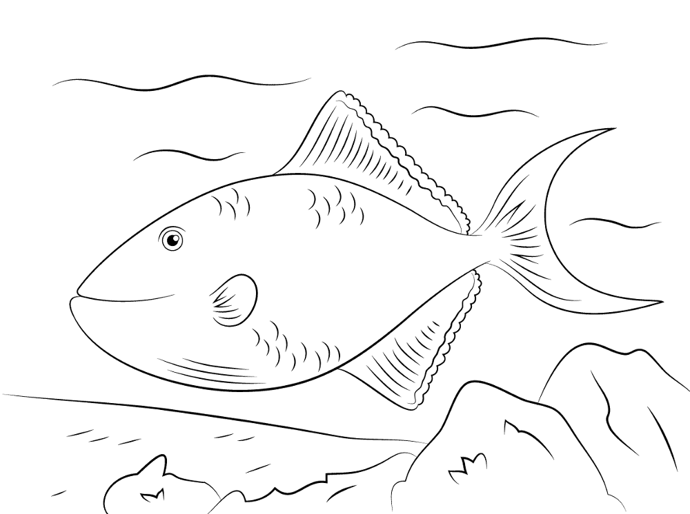 Desenho de Recife De Coral para colorir