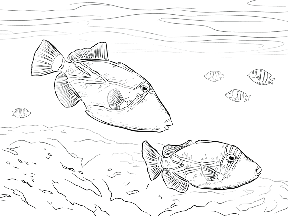 Desenho de Recife De Coral para colorir