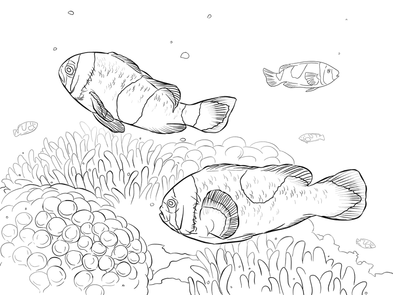 Desenho de Recife De Coral para colorir