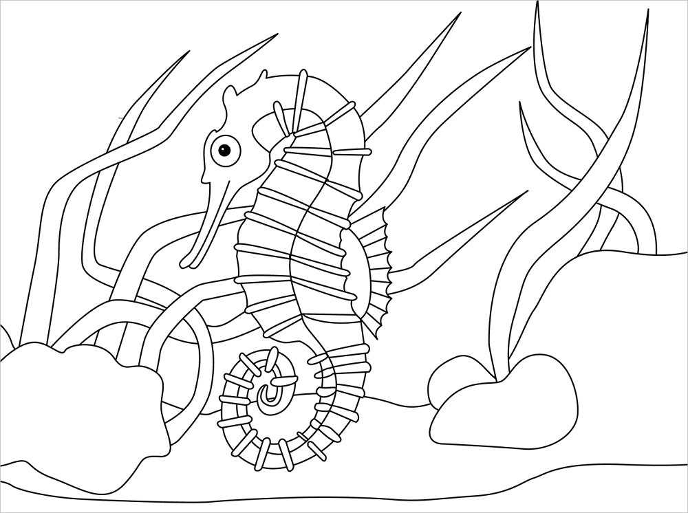 Desenho de Recife De Coral para colorir