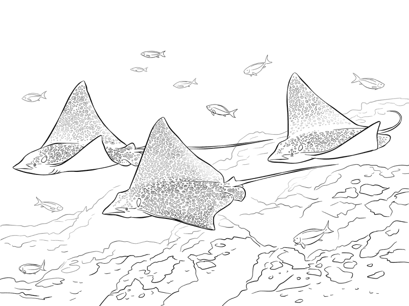 Desenho de Recife De Coral para colorir