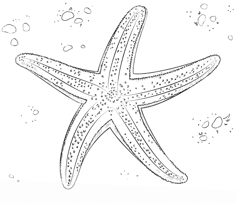 Desenho de Recife De Coral para colorir