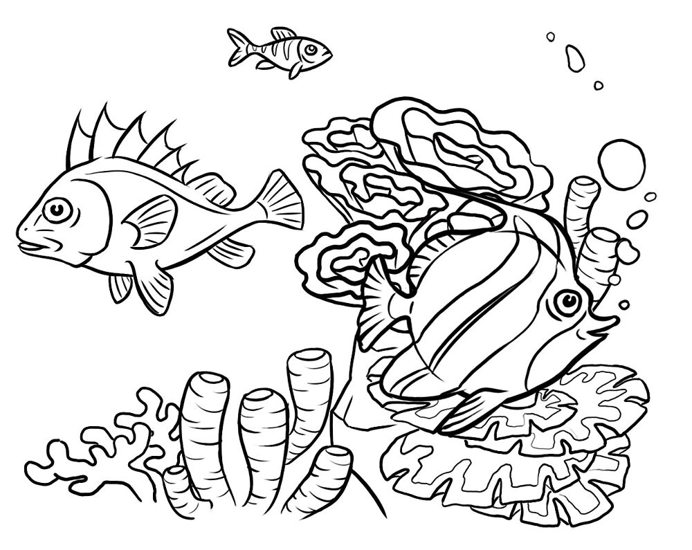 Desenho de Recife De Coral para colorir