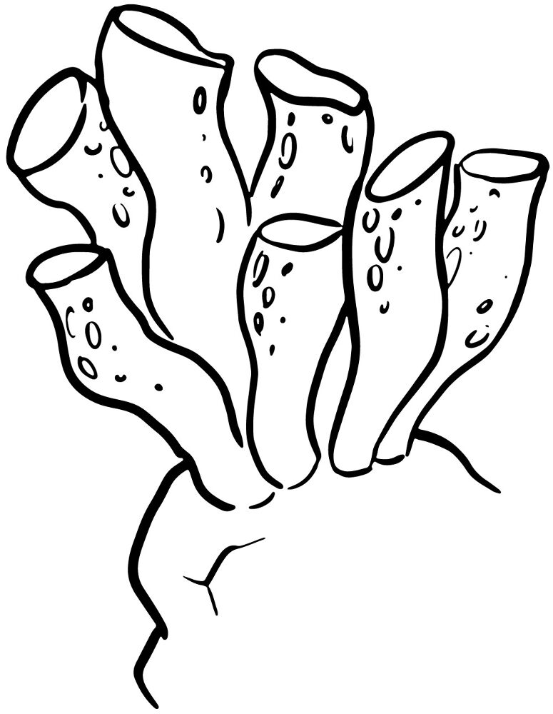 Desenho de Recife De Coral para colorir