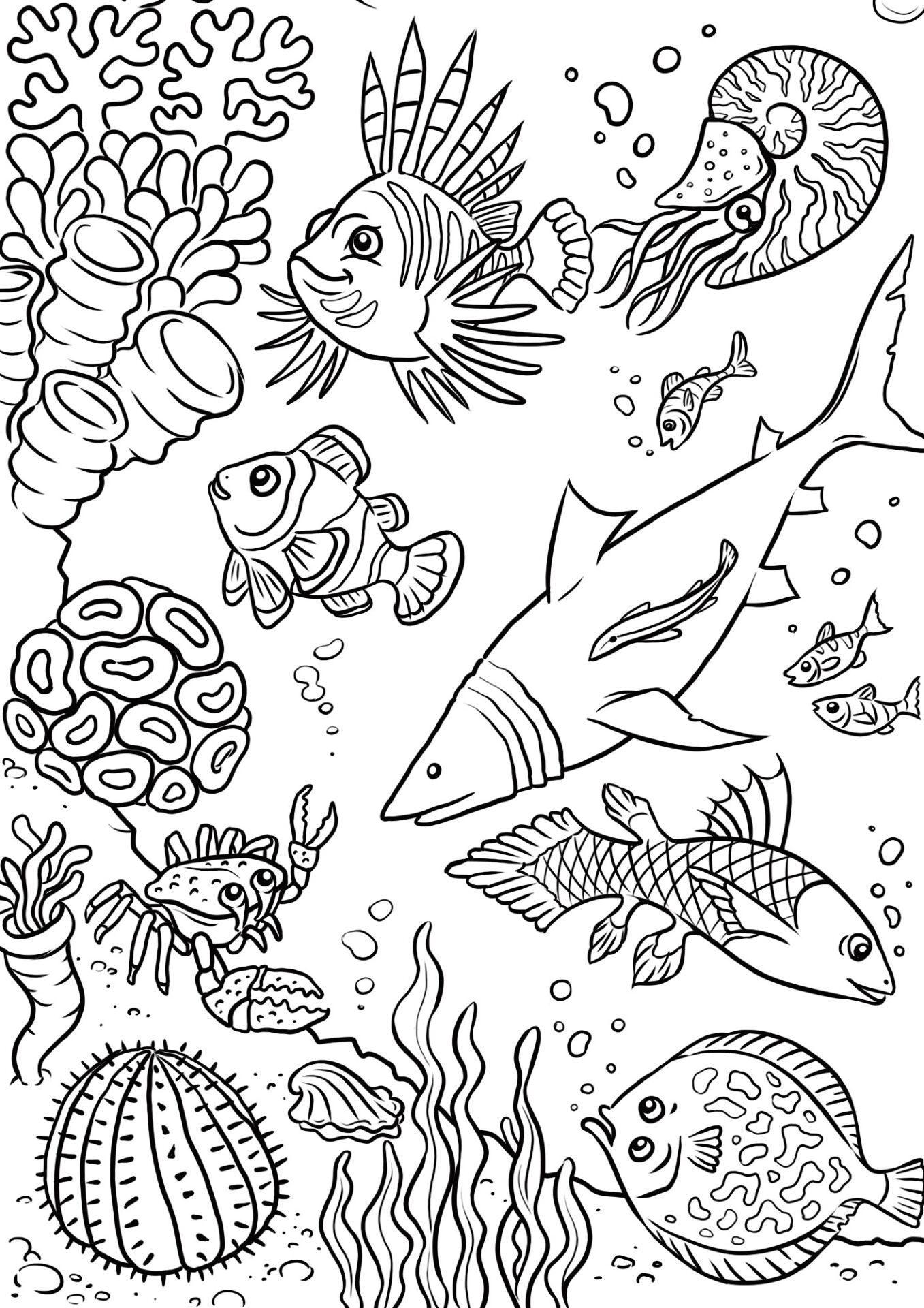 Desenho de Recife De Coral para colorir