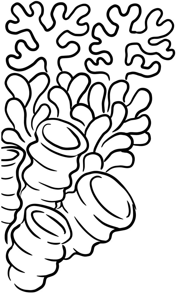 Desenho de Recife De Coral para colorir