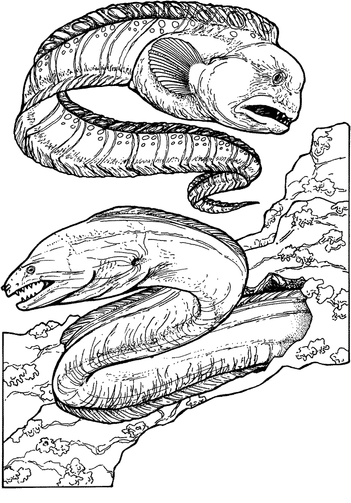 Desenho de Recife De Coral para colorir