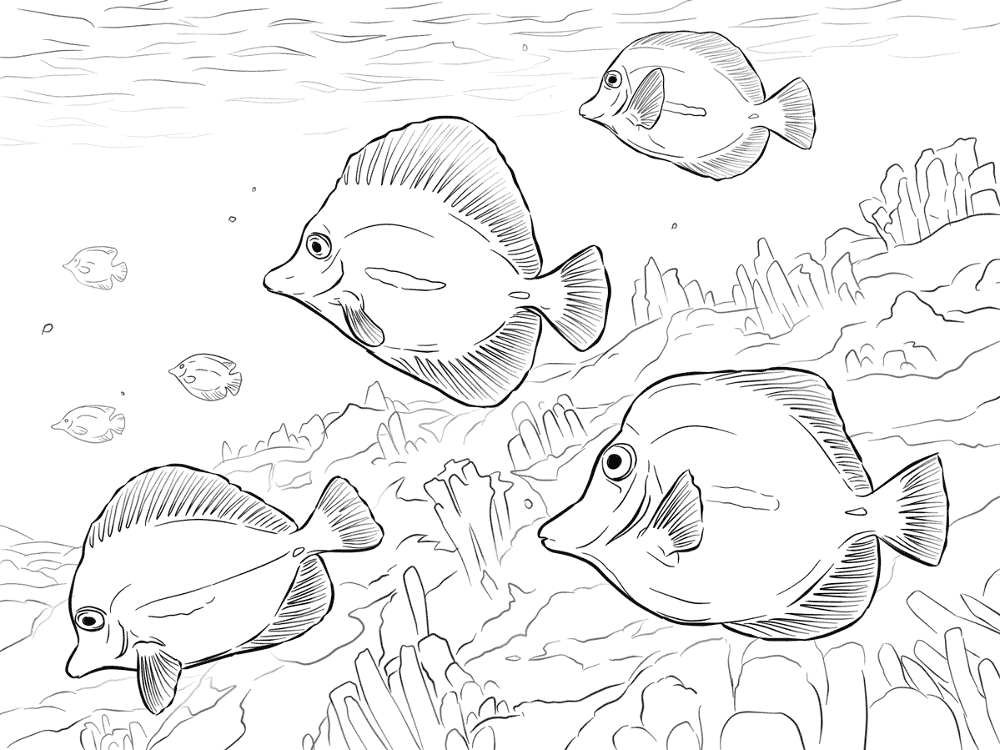 Desenho de Recife De Coral para colorir