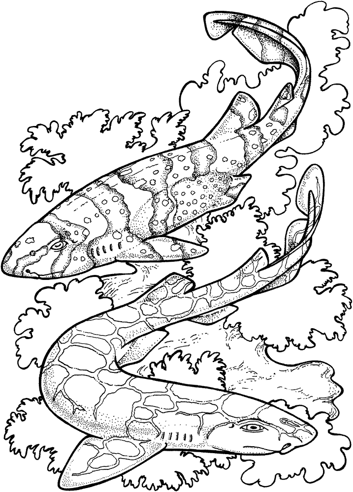 Desenho de Recife De Coral para colorir