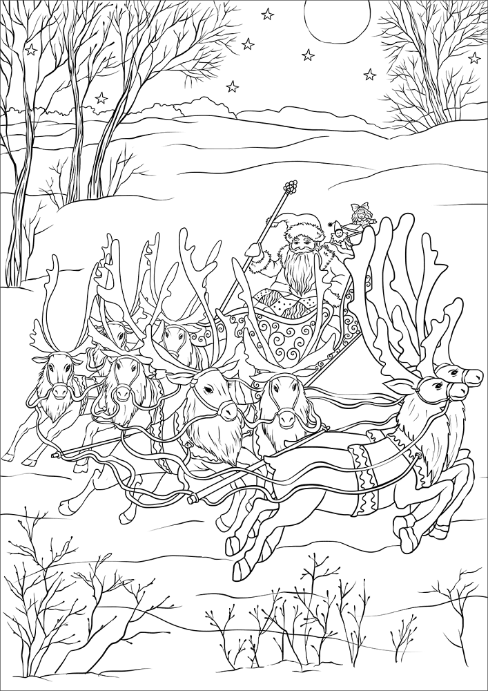 Desenho de Rena para colorir e imprimir: número 21