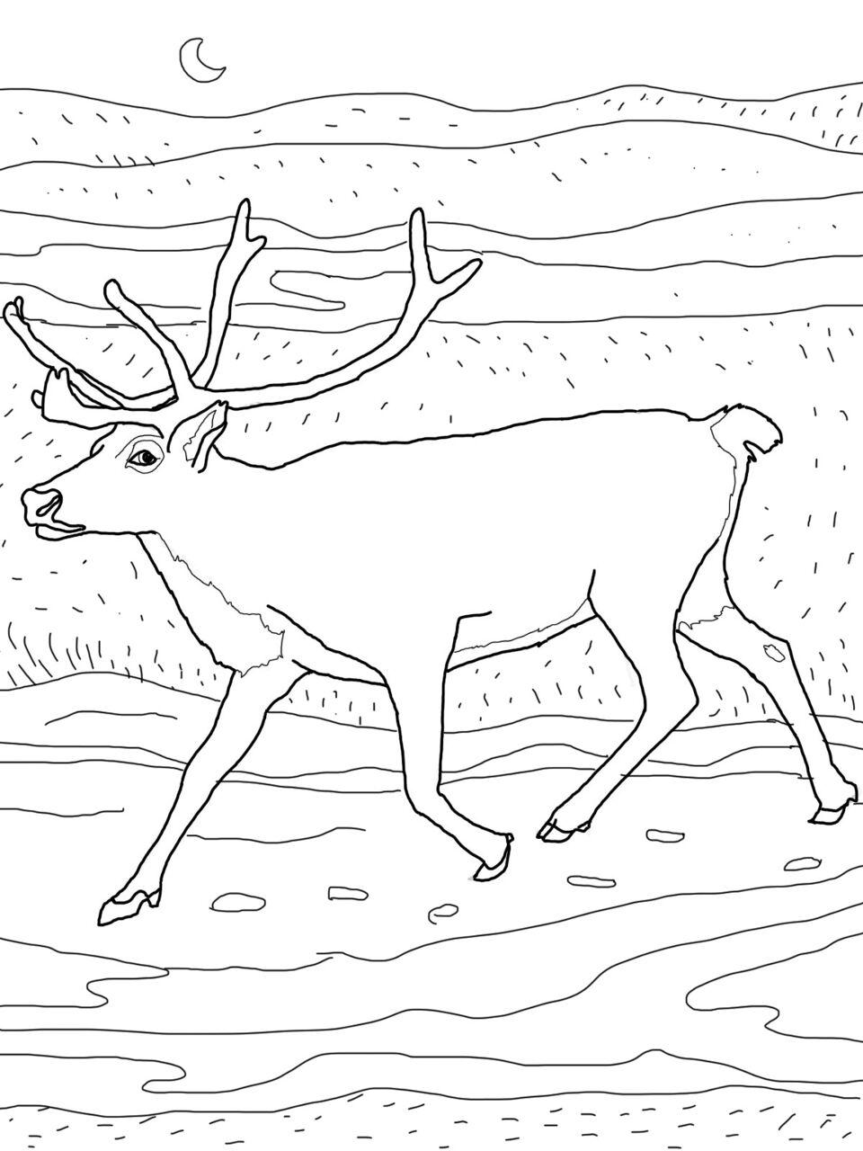 Desenho de Rena para colorir e imprimir: número 26