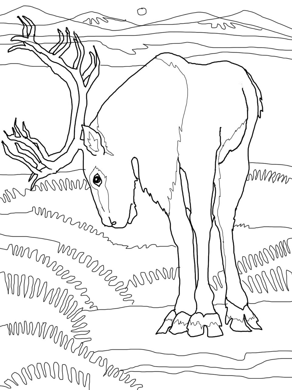 Desenho de Rena para colorir e imprimir: número 27