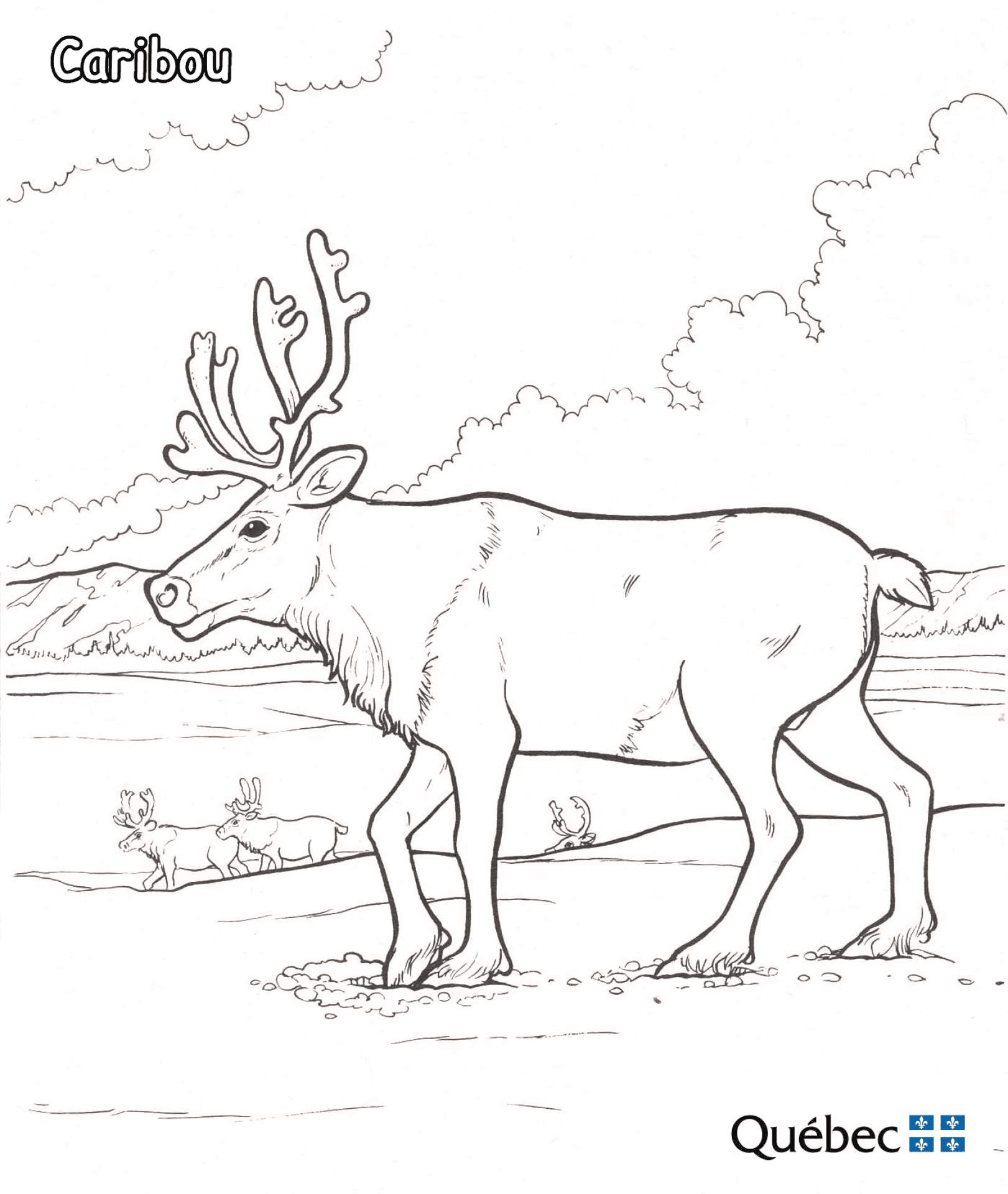 Desenho de Rena para colorir e imprimir: número 29