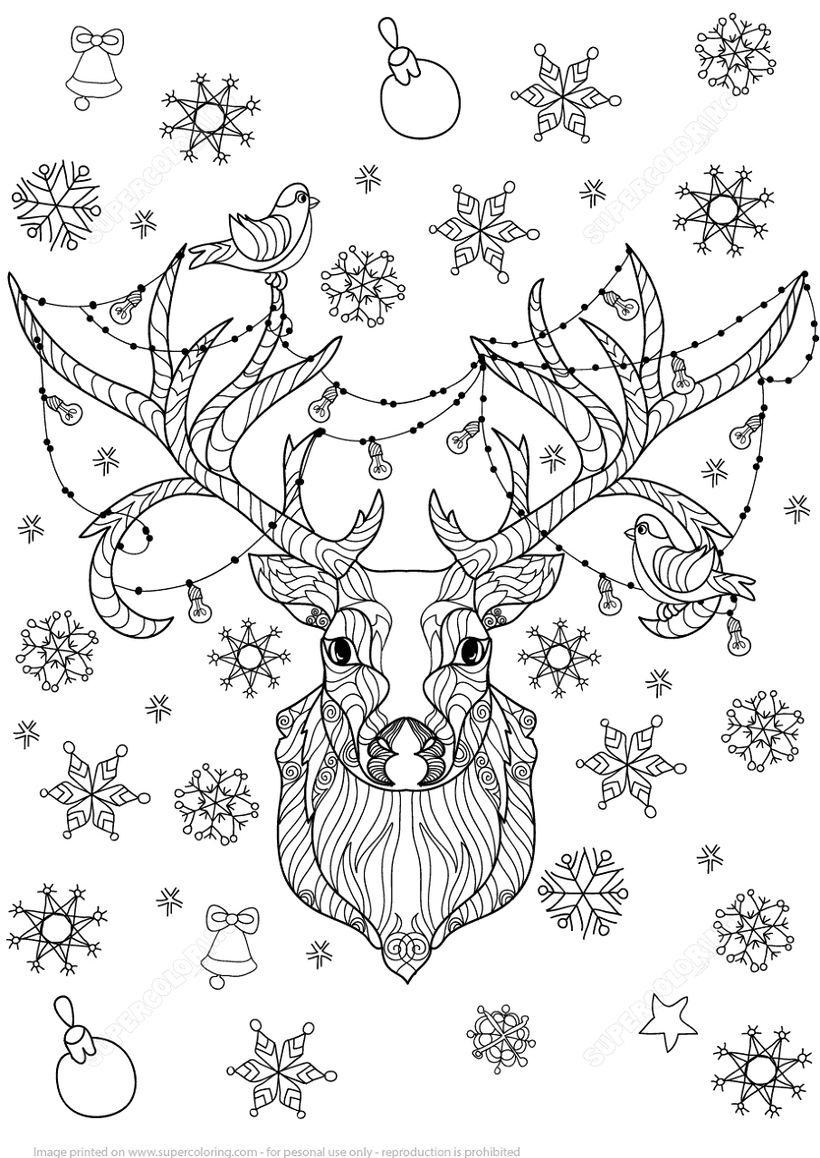 Desenho de Rena para colorir e imprimir: número 34