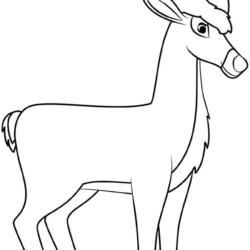 Desenho de Rena para colorir