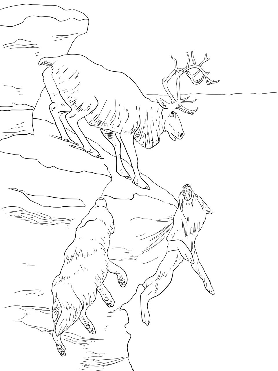 Desenho de Rena para colorir