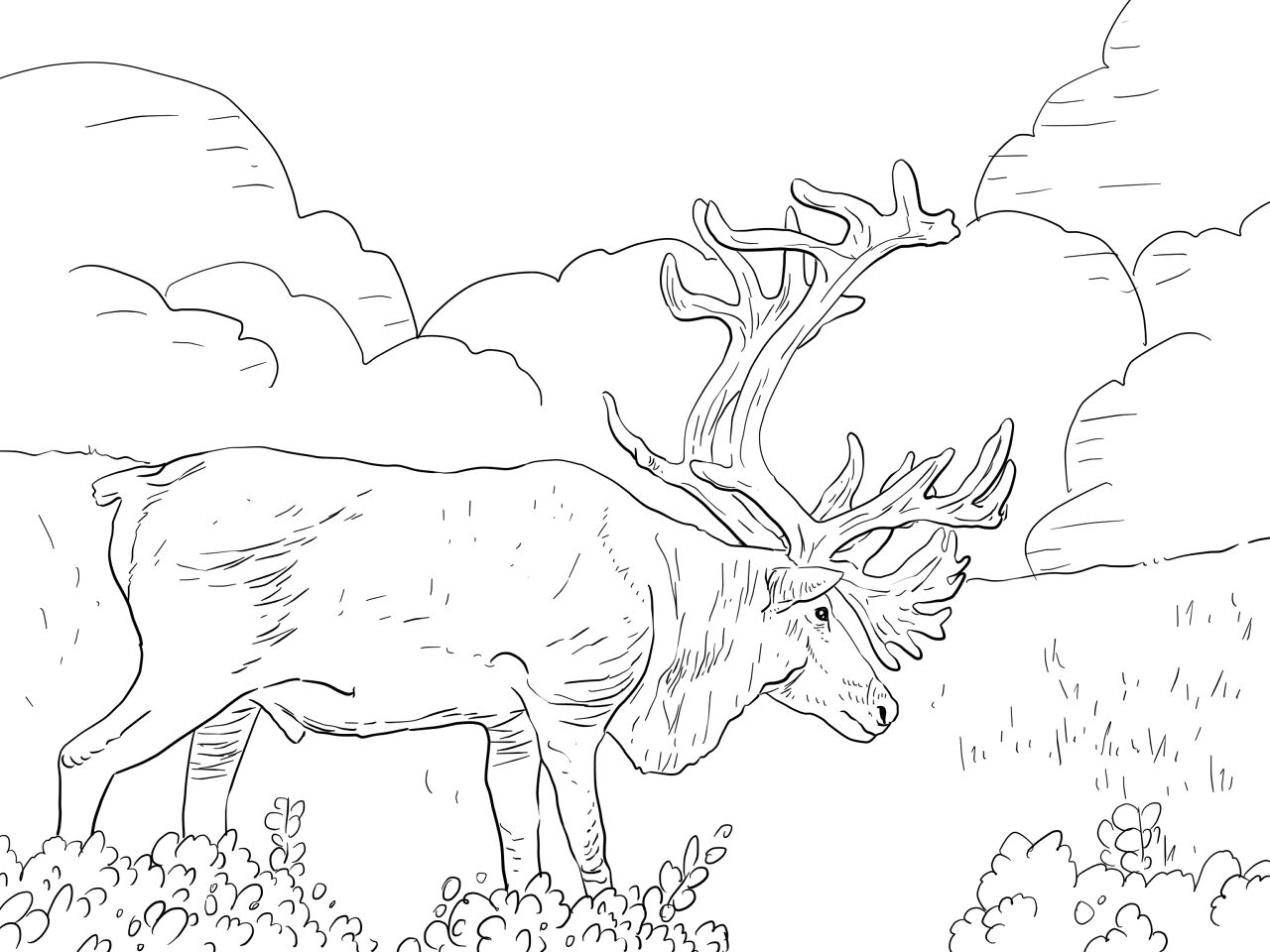 Desenho de Rena para colorir