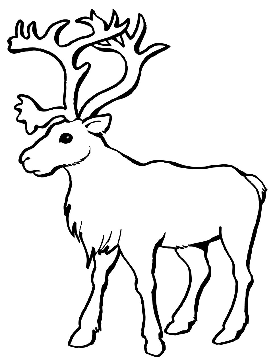 Desenho de Rena para colorir