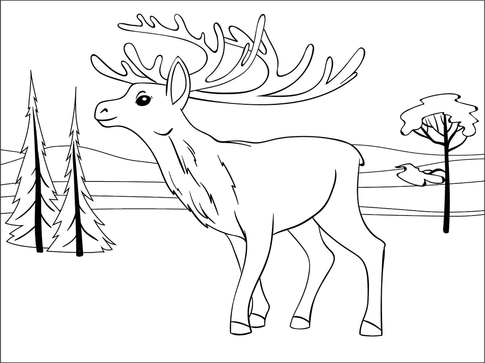 Desenho de Rena para colorir
