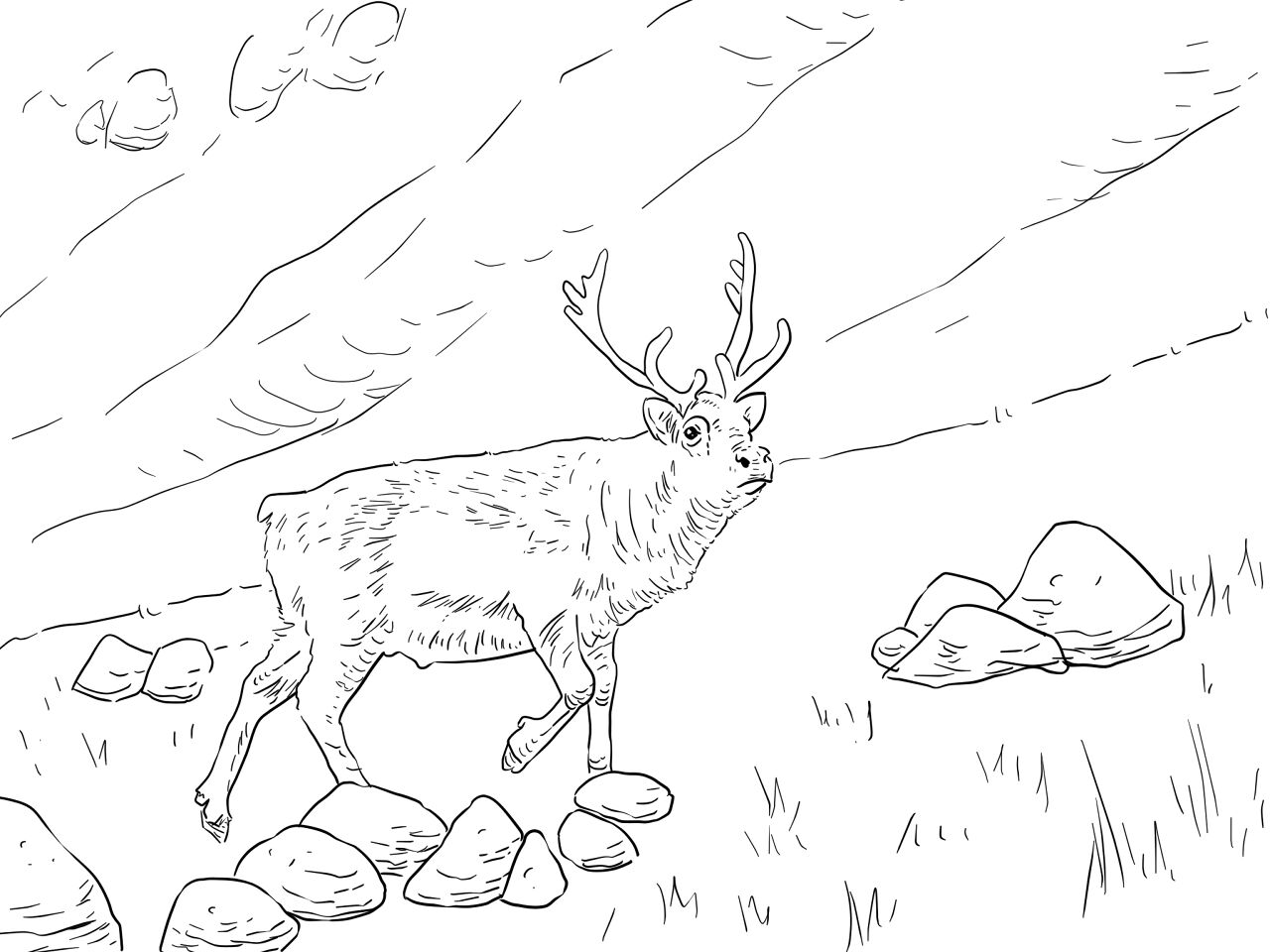 Desenho de Rena para colorir