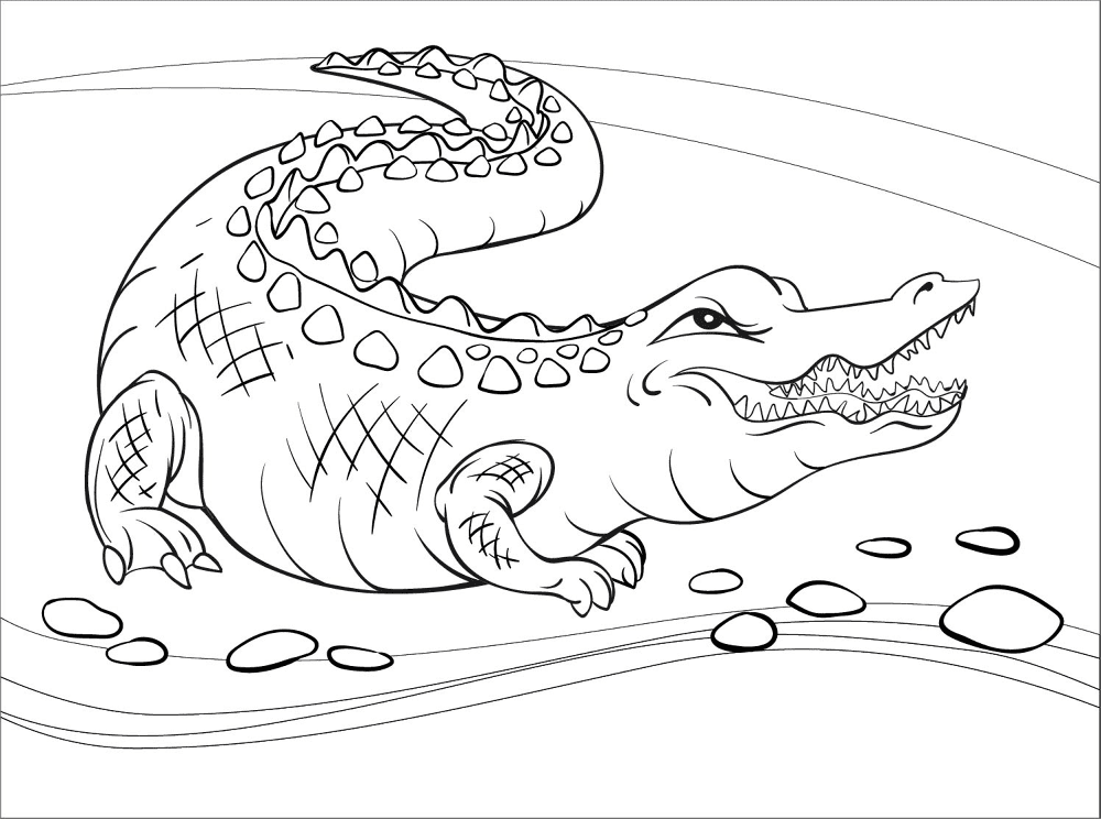 Desenho de Répteis para colorir e imprimir: número 2
