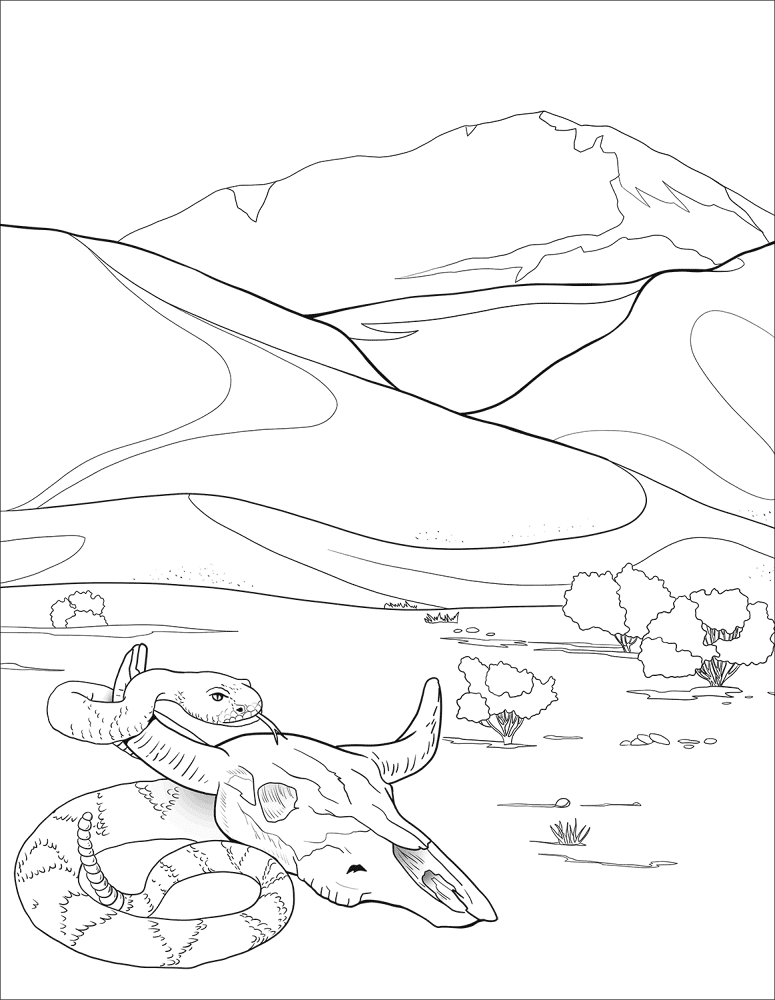 Desenho de Répteis para colorir e imprimir: número 4