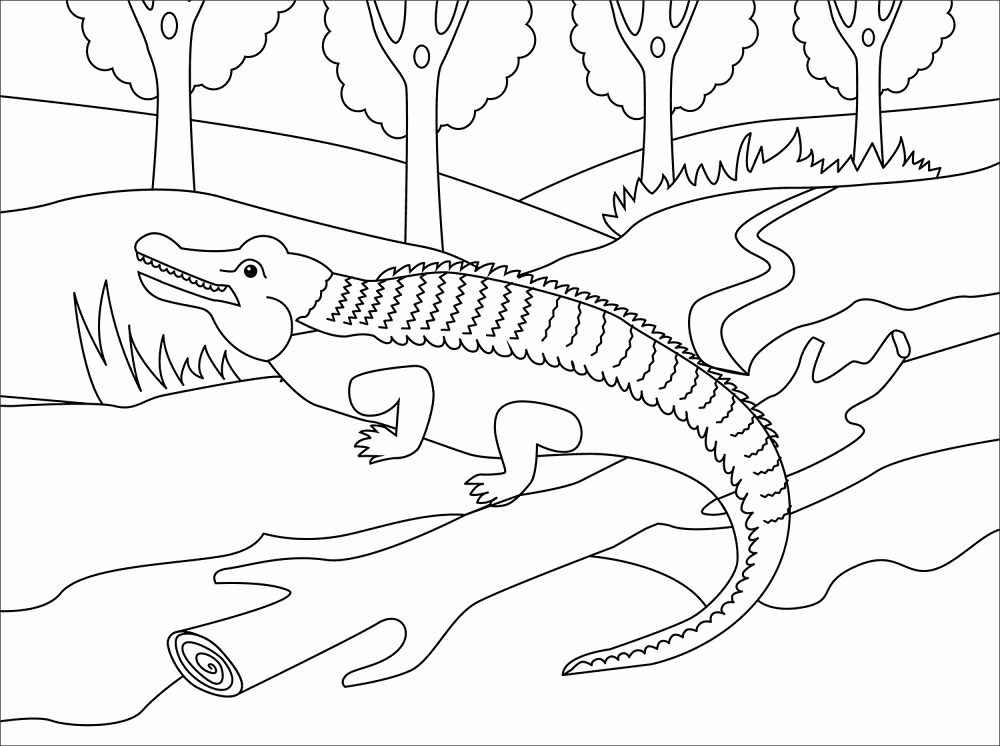 Desenho de Répteis para colorir e imprimir: número 9