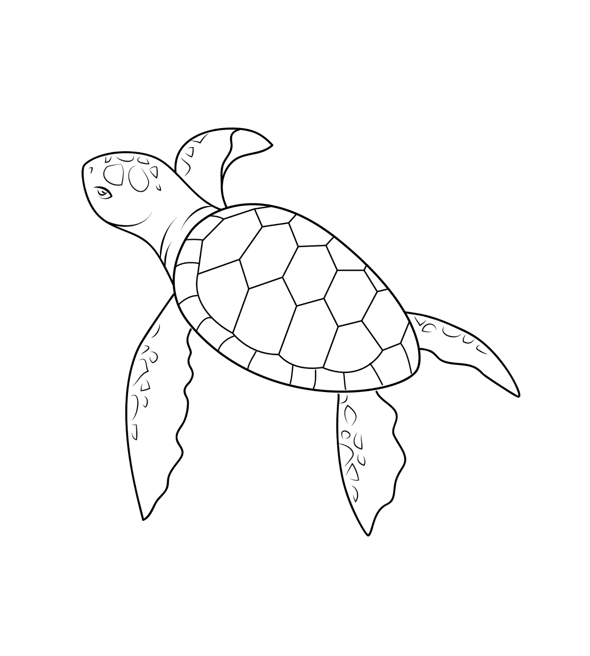 Desenho de Répteis para colorir e imprimir: número 13