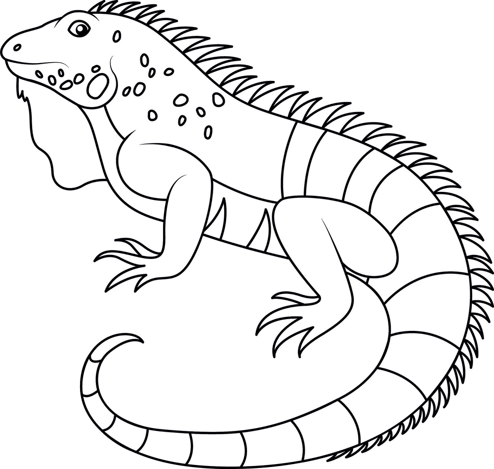 Desenho de Répteis para colorir e imprimir: número 21