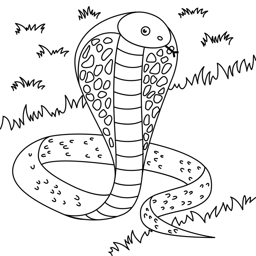 Desenho de Répteis para colorir e imprimir: número 22