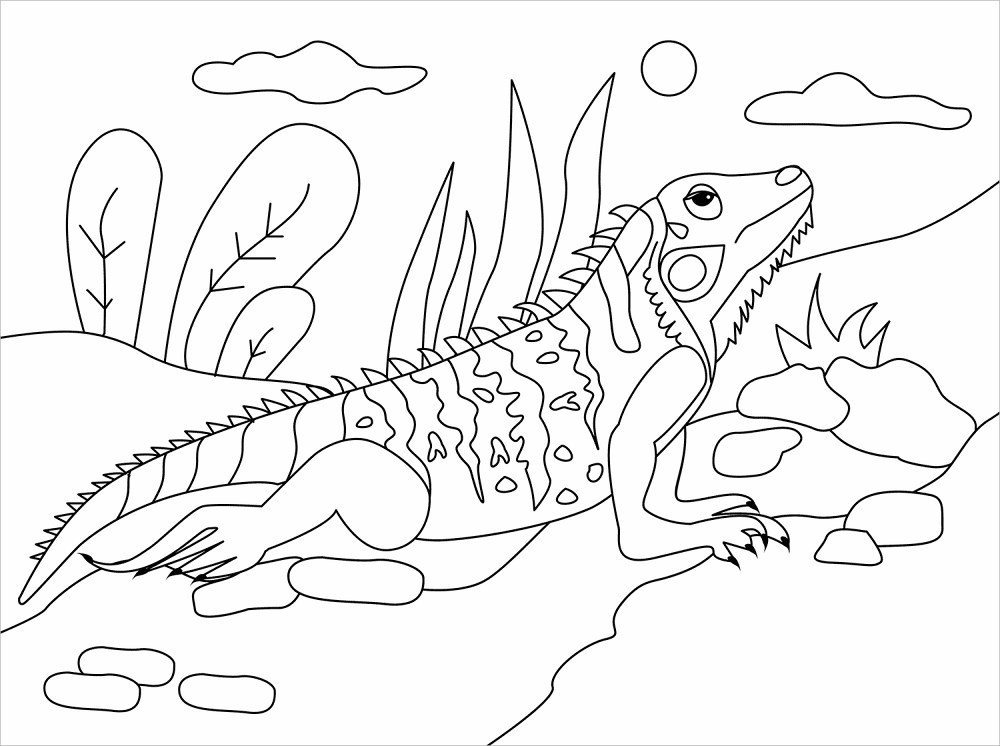 Desenho de Répteis para colorir e imprimir: número 37